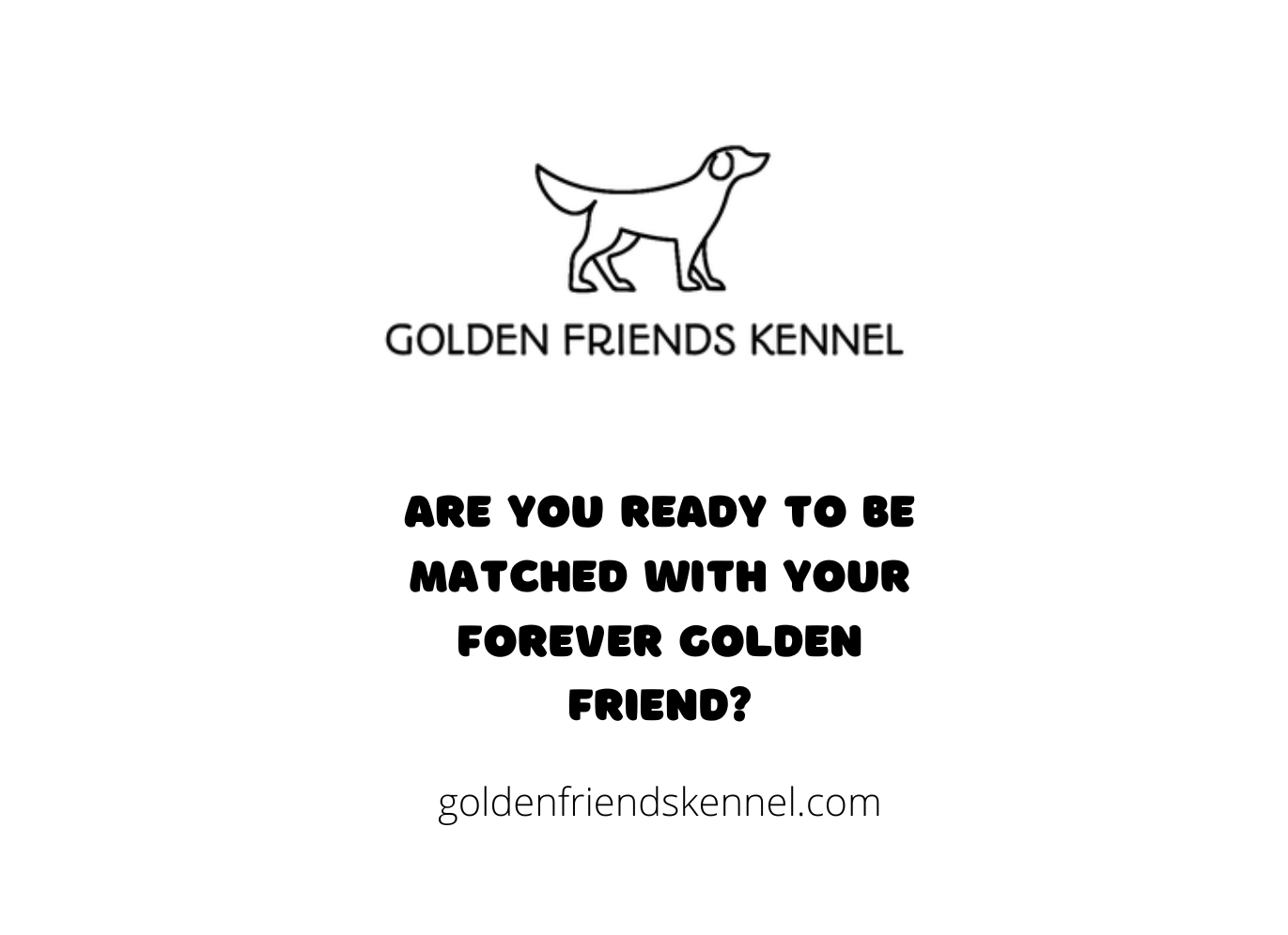 You are currently viewing Golden Friends Kennel